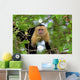 White Faced Capuchin Wall Decal