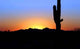 Arizona Desert Wall Decal