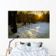 Winter Scene Lake Forest Wall Decal