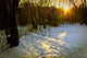 Winter Scene Lake Forest Wall Decal