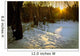 Winter Scene Lake Forest Wall Decal