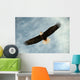 Bald Eagle Flight Awaiting Wall Decal