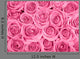 Pink Roses Wall Decal