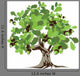Big Green Oak Tree Wall Decal