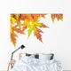 Autumn Maple Leaves Wall Decal