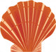 Sea Shell Vector Wall Decal