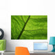Close-Up Photo Green Leaf Wall Decal