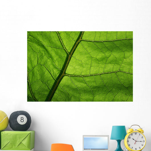 Close-Up Photo Green Leaf Wall Decal
