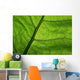 Close-Up Photo Green Leaf Wall Decal