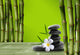 Young Green Bamboo Boke 2 Wall Decal