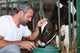 Farmer Feeding And Stroking Wall Decal