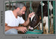 Farmer Feeding And Stroking Wall Decal