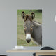 Donkey Portrait Wall Decal
