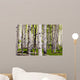 Aspen Spring Wall Decal