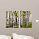 Aspen Spring Wall Decal