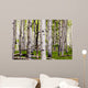 Aspen Spring Wall Decal