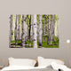 Aspen Spring Wall Decal