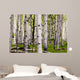 Aspen Spring Wall Decal