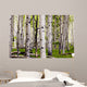 Aspen Spring Wall Decal