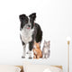 Border Collie And Two Wall Decal