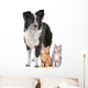 Border Collie And Two Wall Decal