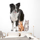 Border Collie And Two Wall Decal