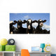 Holstein Calves Pasture Wall Decal