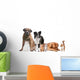 Mixed Group of Cats And Dogs Wall Decal