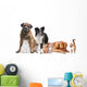Mixed Group of Cats And Dogs Wall Decal