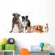 Mixed Group of Cats And Dogs Wall Decal