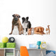Mixed Group of Cats And Dogs Wall Decal