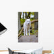 White Wolf Forest Wall Decal