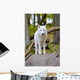White Wolf Forest Wall Decal
