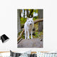 White Wolf Forest Wall Decal