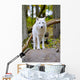White Wolf Forest Wall Decal