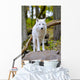 White Wolf Forest Wall Decal