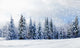 Beautiful Winter Landscape With Snow-Covered Evergreen Trees Wall Decal