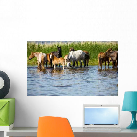 Horses Watering Chany Lake Wall Decal