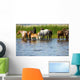 Horses Watering Chany Lake Wall Decal