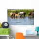 Horses Watering Chany Lake Wall Decal