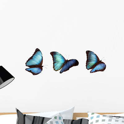 3 Blue Morphos Wall Decal shown on a wall