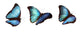 3 Blue Morphos Wall Decal