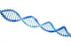 3D Dna White Wall Decal