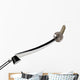 Samurai Katana Sword Wall Decal