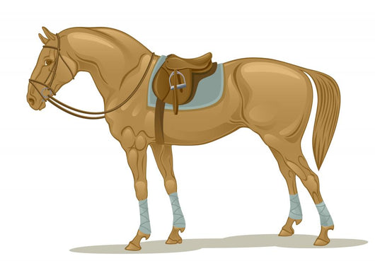 Stallion Wall Decal