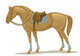 Stallion Wall Decal
