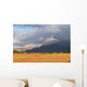 Vineyard Landscape Wall Decal