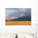 Vineyard Landscape Wall Decal