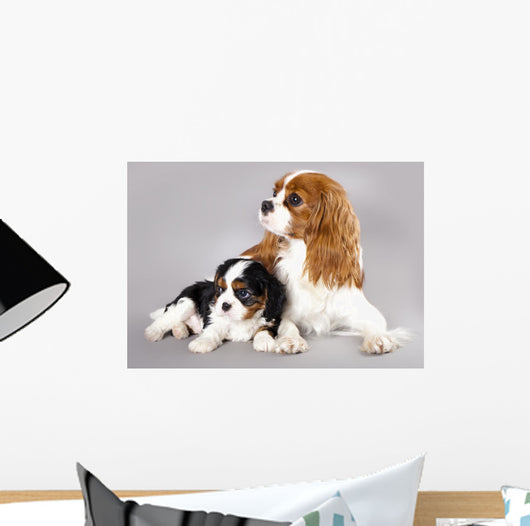 Cavalier King Charles Spaniel Wall Decal