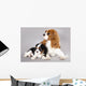 Cavalier King Charles Spaniel Wall Decal
